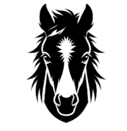 BlackColt Shop logo